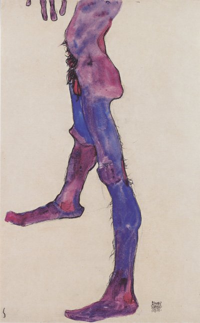 Male Lower Torso by Egon Schiele